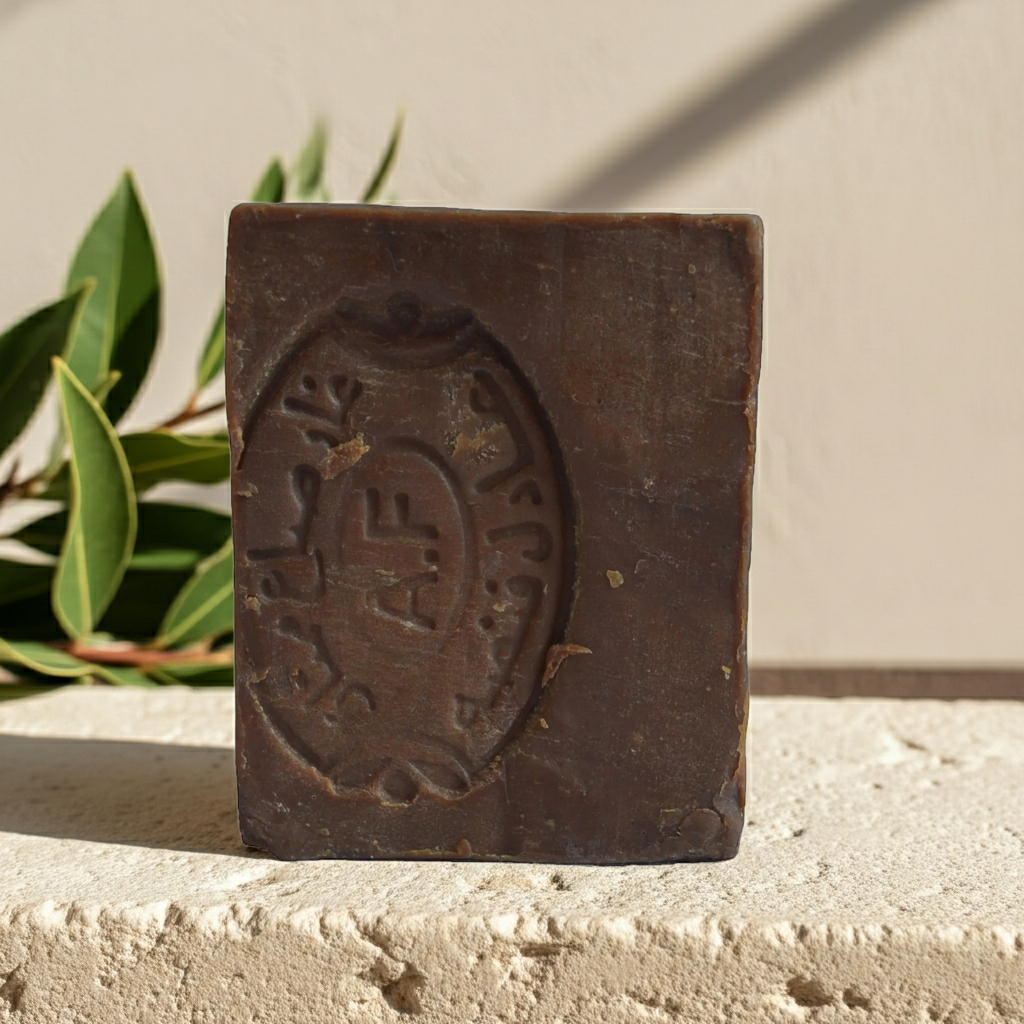 A square dark brown carved stone or metal plaque with an embossed circular emblem and script, standing on a textured light surface with green leaves and a beige wall in the background — Aleppo laurel soap.